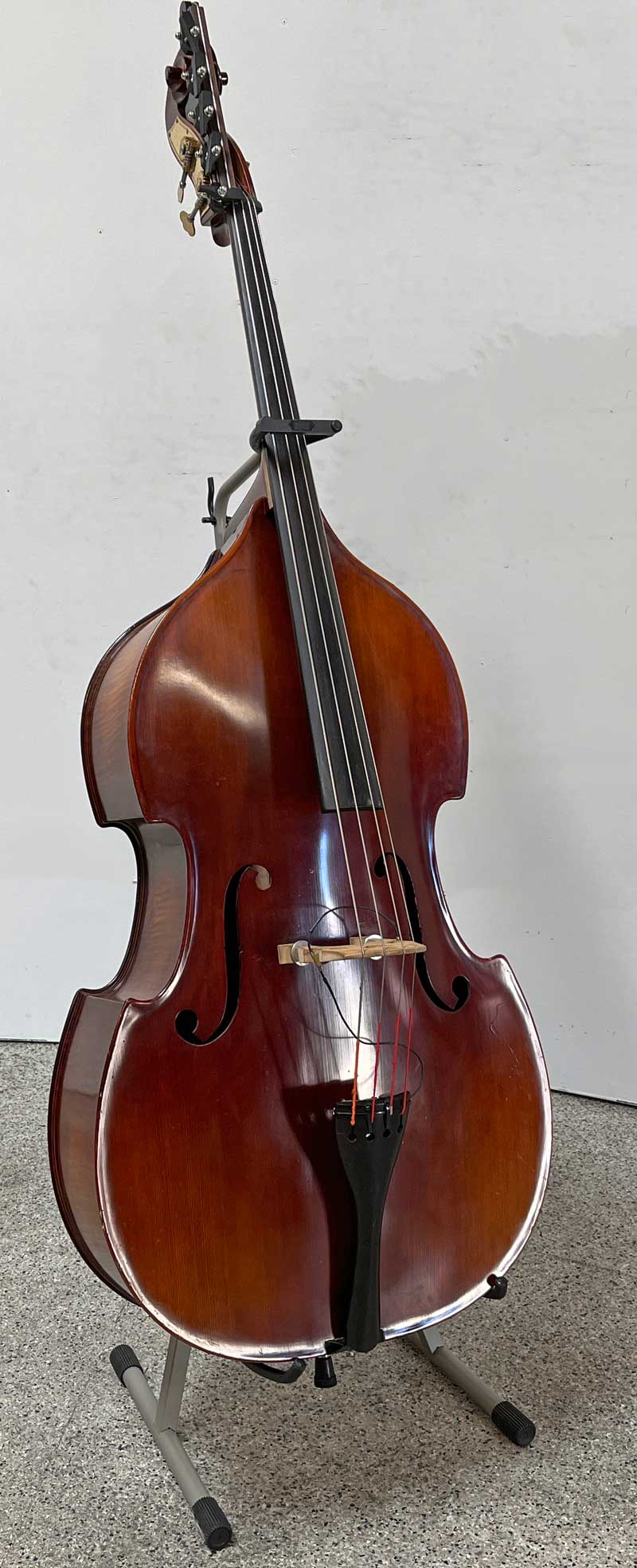 Acoustic bass, 5-string, with Pickup